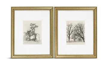 Coconino Set Of 2