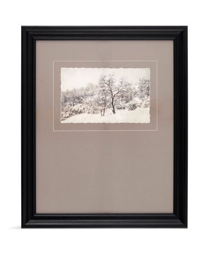 Coconino Framed Art
