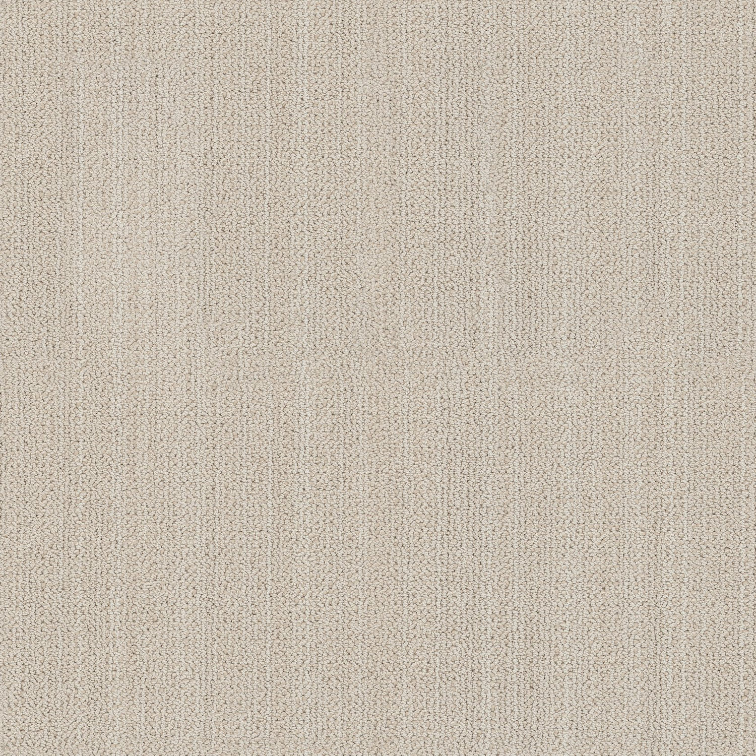 Anderson Tuftex In Rhythm - Coconut Milk