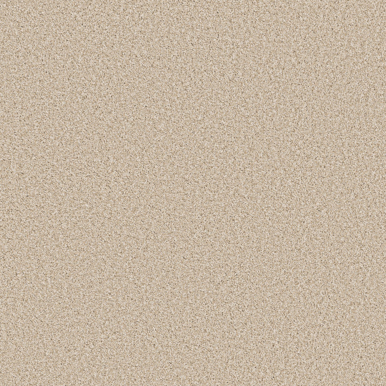 Anderson Tuftex Bella Nova Salt Air