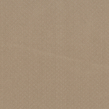 Anderson Tuftex Aperture - Warm Beige