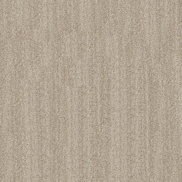 Anderson Tuftex In Tempo - Almond