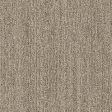 Anderson Tuftex In Tempo - Dunes