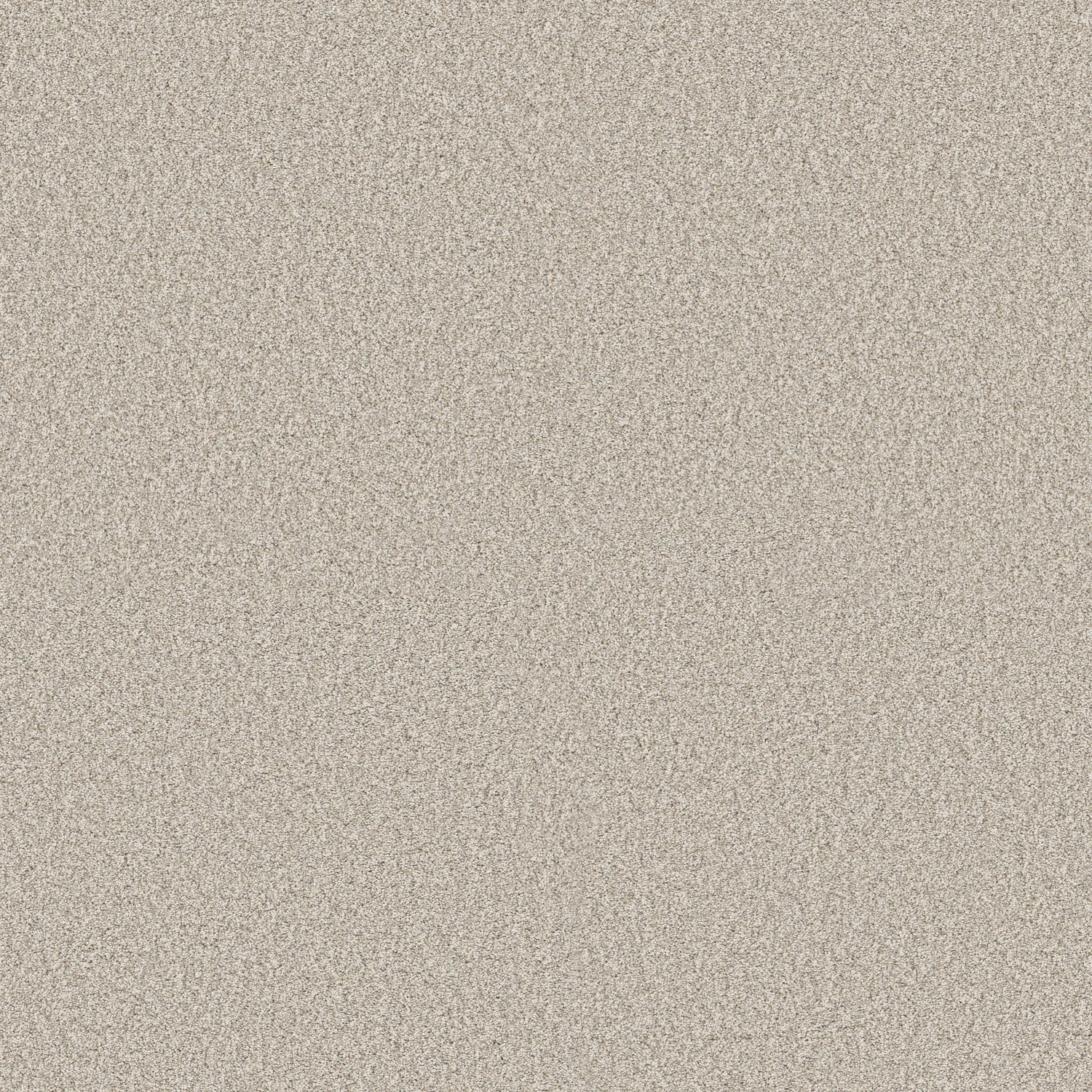 Shaw Timeless Tone - Sweet Cream