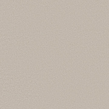Shaw Smooth Tone - Cool Winter