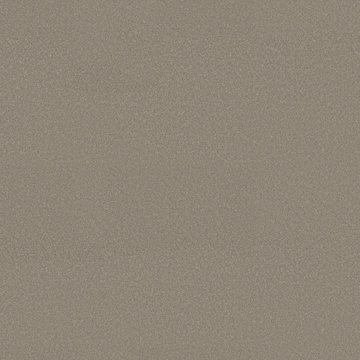 Shaw Smooth Tone - Pebble Path