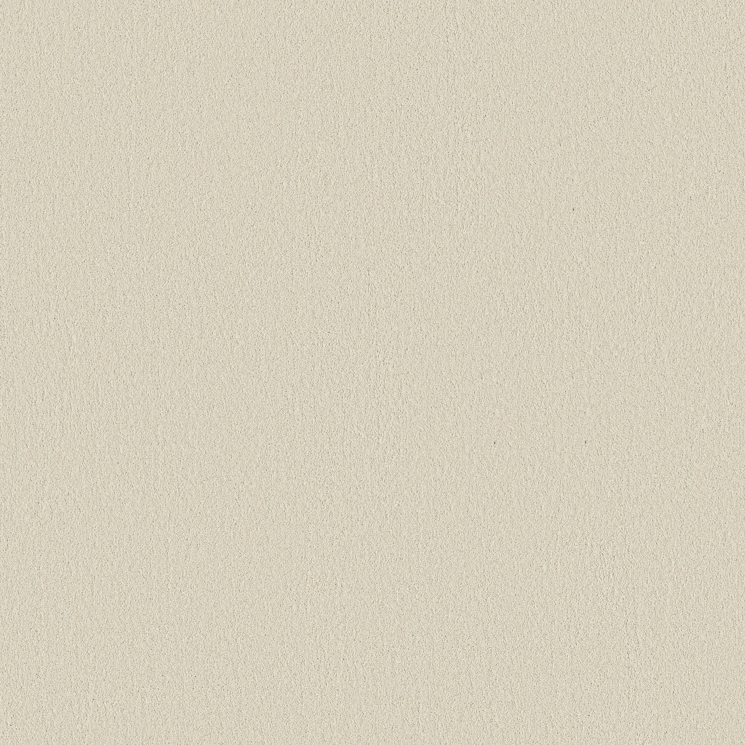 Shaw Smooth Tone - Sweet Cream
