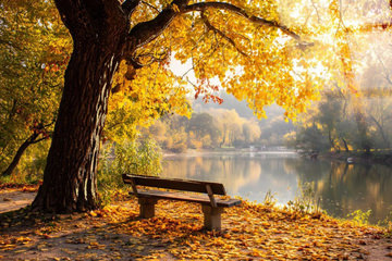 Autumn Lakeside Glass Art