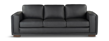 Riley Leather Sofa