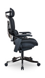 Xergo Executive Mesh Ergonomic Office Chair thumbnail 4