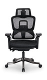 Xergo Executive Mesh Ergonomic Office Chair thumbnail 3