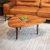 Wallen 37″ Coffee Table  thumbnail 4
