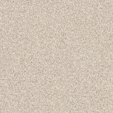Masland MZ848 - Beach Powder