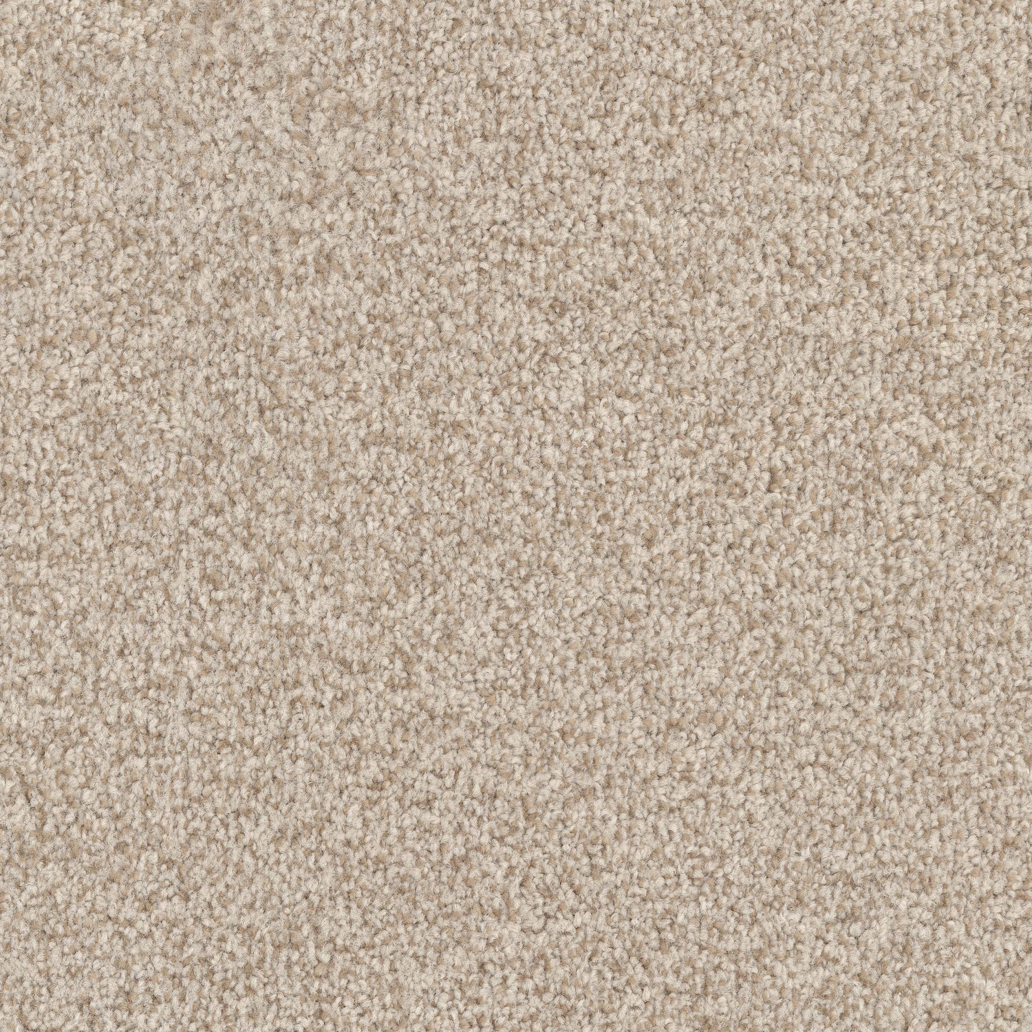 Masland MZ848 - Seashell