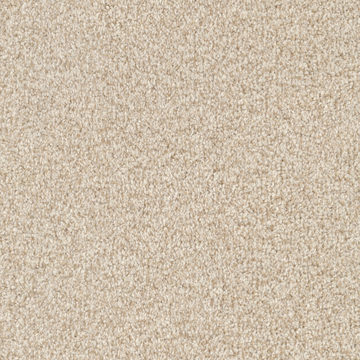 Masland MZ848 - Chamois