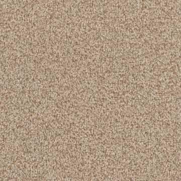 Masland MZ848 - Maple Tint