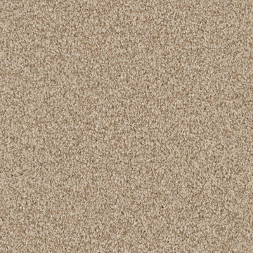 Masland MZ848 - Sesame Seed