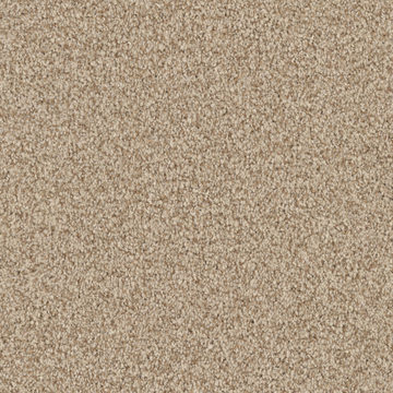 Masland MZ860 - Sesame Seed