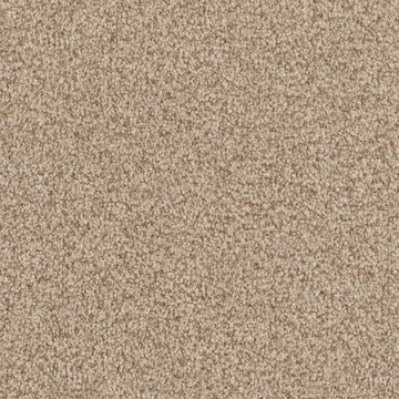 Masland MZ860 - Maple Tint