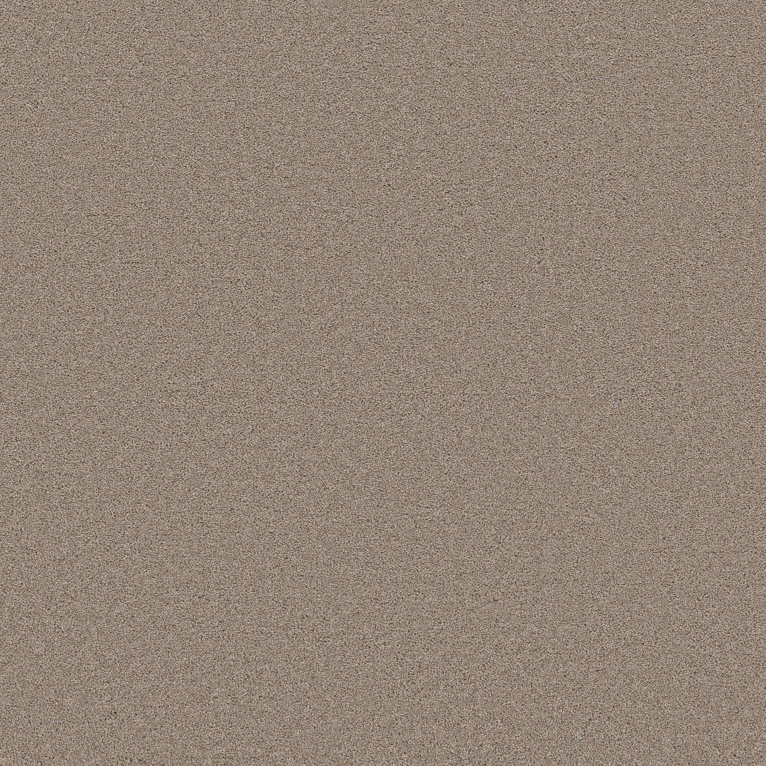 Shaw Blended Touch II Wool Blend
