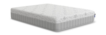 Magnolia Plush Queen Mattress