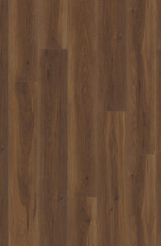Canopy Comfort Classics - Piedmont Hickory