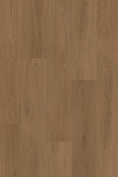 Canopy Comfort Enhanced - Salem Oak