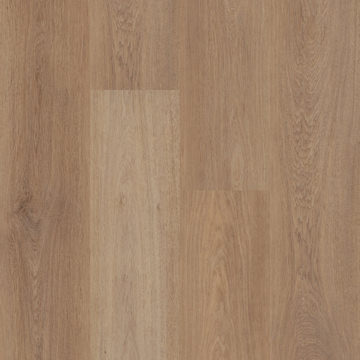 Briard - Tusk Oak