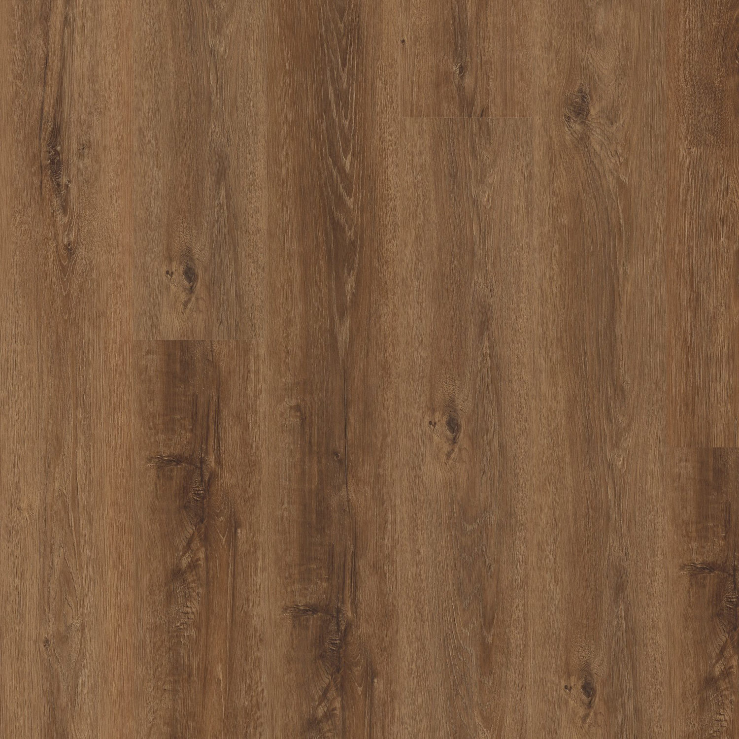 Shaw Maltese - Garnet Oak