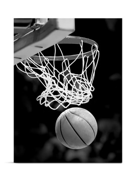 Slam Dunk Moment Canvas Art