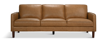 Roarke Leather Sofa