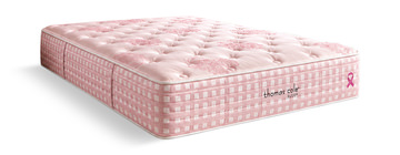 Susan G. Komen Plush Queen Mattress