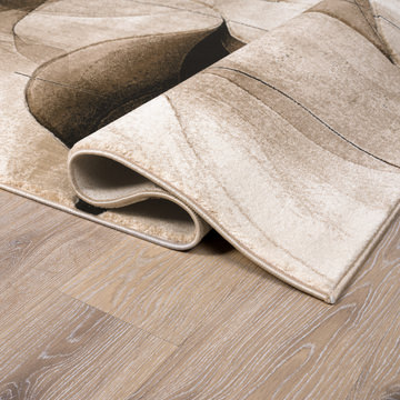 Alexia Brown/Beige 5′2″ X 7′5″ Area Rug 