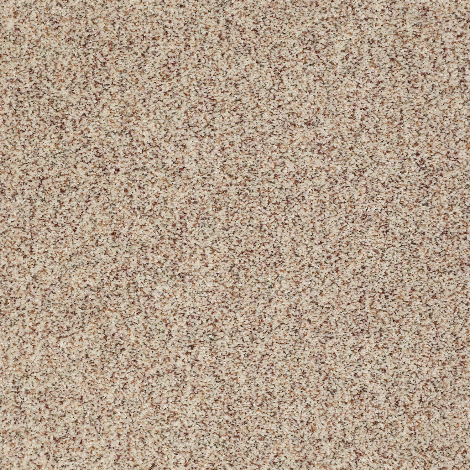 shaw berber carpet