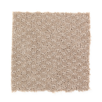image Subtle Allure - Biscotti