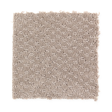 image Subtle Allure - Willow Bark