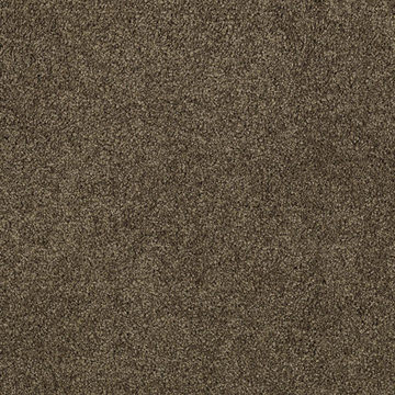 image Pristine Beauty - Solid Steel