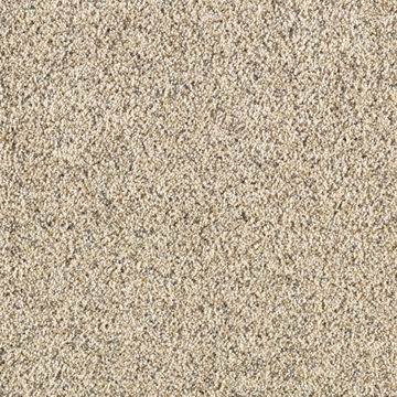 Shop Karastan Modern Sensation Swansong K8954-9708 Carpet