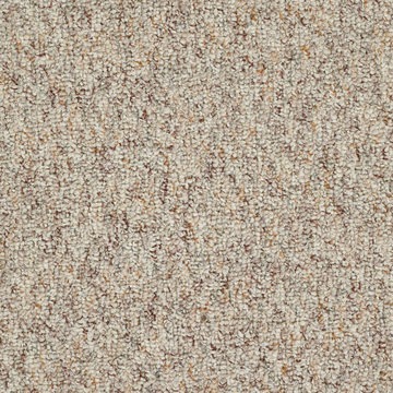 Carpet At Lowes Com Take Part 12 0c010 Almond Nougat