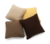 18″ Outdoor Pillow - Canvas Ginko thumbnail 2