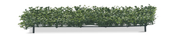 Boxwood Hedge Cover - 24″
