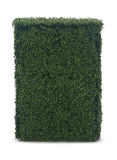 Boxwood Hedge 24″ x 39″ thumbnail 2