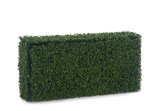 Boxwood Hedge - 48″ x 26″ thumbnail 1