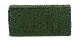 Boxwood Hedge - 48″ x 26″ thumbnail 2