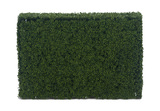 Boxwood Hedge - 48″ x 39″ thumbnail 2