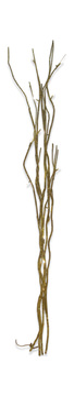 3′11″ Tree Branch - Gold