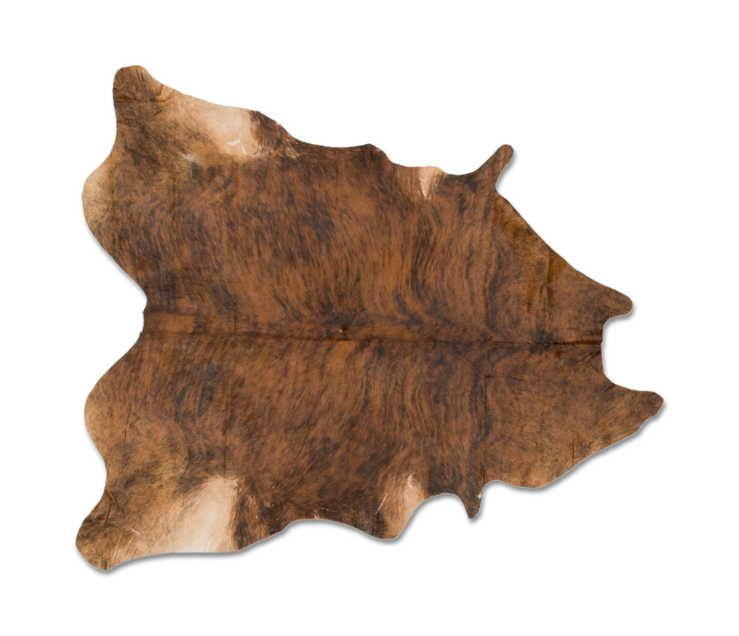 100 Argentinian Cowhide Assorted Colors Hom Furniture