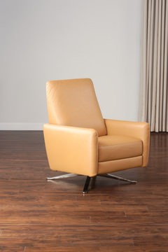 Blake Push Arm Recliner