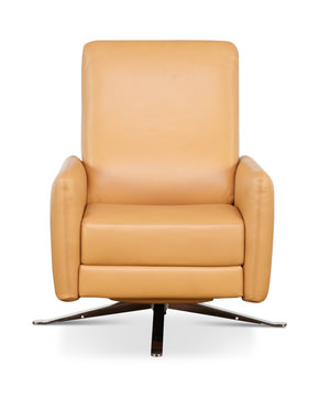 Blake Push Arm Recliner