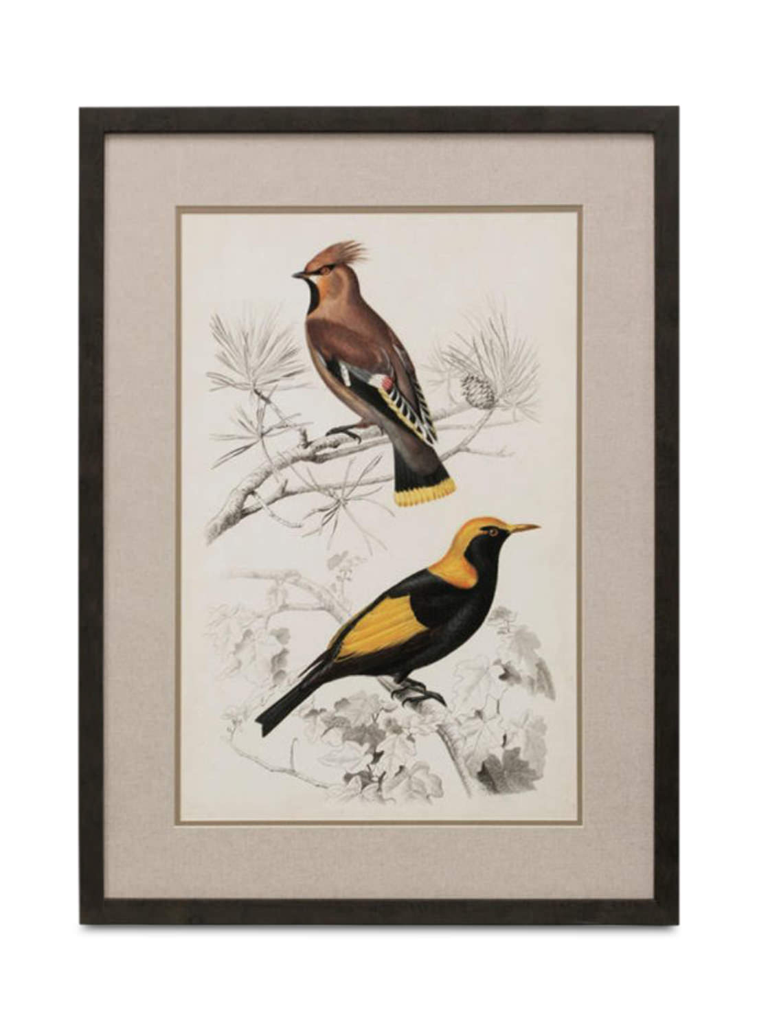 Bird Wall Art Canada : 25 Bird Wall Art Designs That Will Add